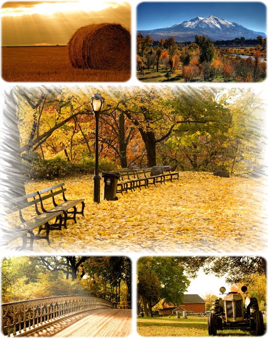 Autumn wallpapers