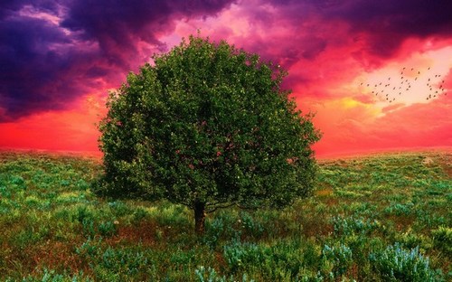 Computer Desktop Wallpapers Collection. www.cwer.ru