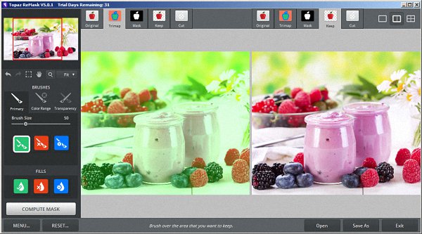 Topaz ReMask 5.0.1