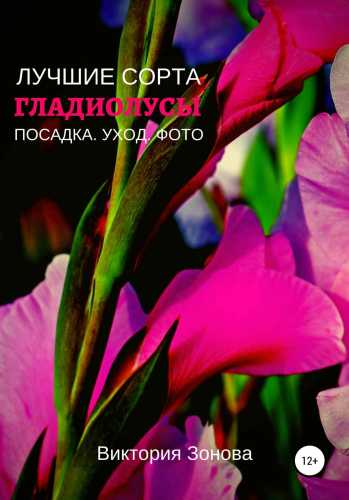 Гладиолусы
