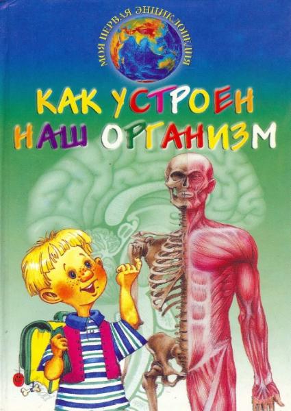 Как устроен наш организм