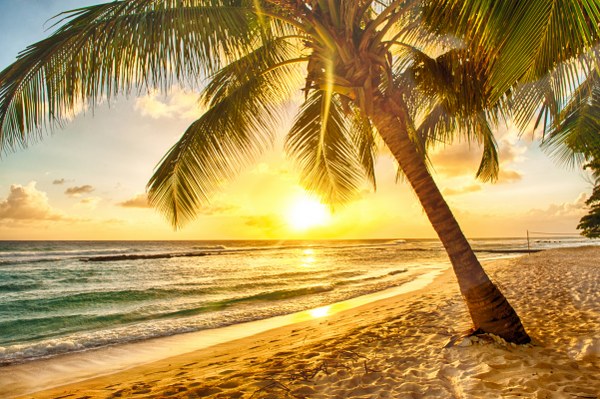 New Mixed HD Wallpapers Pack 248