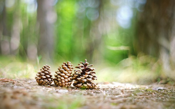New Mixed HD Wallpapers Pack 166